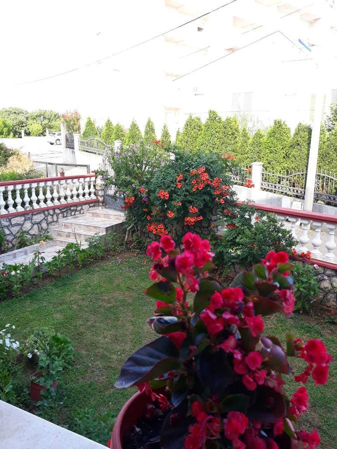Alvanita Apartments Ούλτσιν Εξωτερικό φωτογραφία